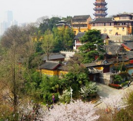 顺德南京周边游(南京周边游景点大全 自驾车旅游)