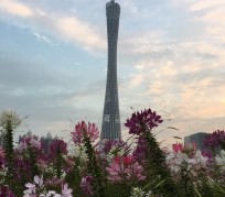 顺德广州旅游攻略(杭州到广州旅游攻略)