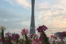 顺德广州旅游攻略(杭州到广州旅游攻略)