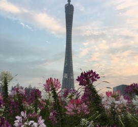 顺德广州旅游攻略(杭州到广州旅游攻略)