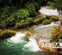 顺德去哪里旅游好(七月八月去哪里旅游好)