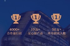 顺德上海私人伴游 ​ “小而美”的新时代：2020年国内新跟团消费报告