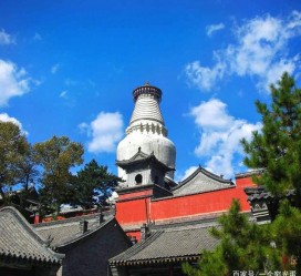 顺德游玩景点(游玩景点有哪些)