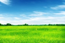 顺德上海伴游 上海模特伴游微信号的交友宣言