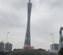 顺德广州游玩攻略(广州游玩攻略景点大全免费)