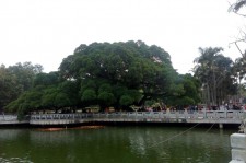 顺德福州旅游攻略(福州旅游攻略二日游)