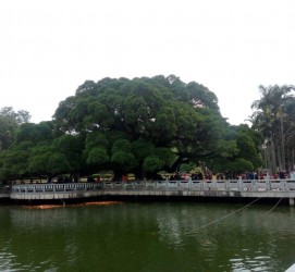 顺德福州旅游攻略(福州旅游攻略二日游)