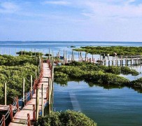 顺德旅游哪里好玩(云南旅游哪里好玩)