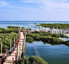 顺德旅游哪里好玩(云南旅游哪里好玩)