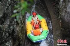 顺德伴游中国三亚(三亚结伴旅游网)