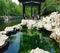 顺德济南旅游攻略(青岛威海济南旅游攻略)