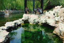 顺德济南旅游攻略(青岛威海济南旅游攻略)