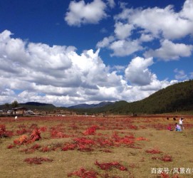 顺德旅游去处(暑期最好的旅游去处)