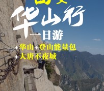 顺德一日游(一日游需要准备些什么东西?)