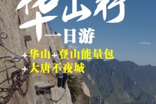 顺德一日游(一日游需要准备些什么东西?)