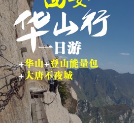顺德一日游(一日游需要准备些什么东西?)