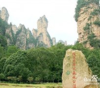 顺德自驾旅游攻略(自驾旅游攻略app排行榜)