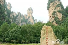 顺德自驾旅游攻略(自驾旅游攻略app排行榜)