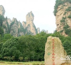 顺德自驾旅游攻略(自驾旅游攻略app排行榜)