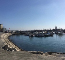 顺德大连旅游攻略(大连旅游攻略自由行)