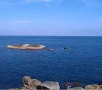 顺德短途游(短途游玩的说说)