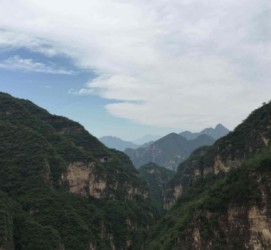顺德伴游中国伴游城(伴游网上海)