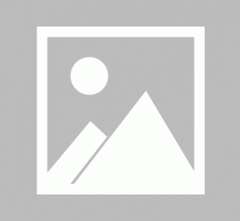 顺德商务伴游招聘 不法分子冒充宾馆网上高薪招吧女要求思想前卫