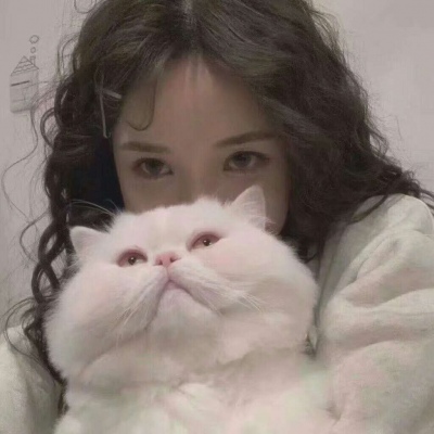 顺德伴游女生韩婉婷的资料