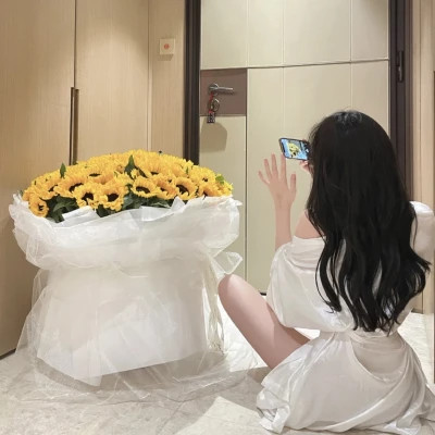 顺德商务伴游带客户畅游北京故宫,感受千年文化